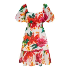 Pranella Raffi Mini Dress Peony Splash